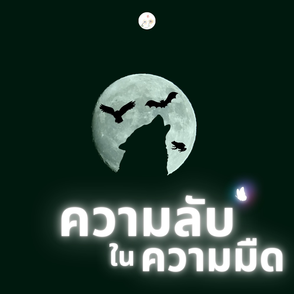 ภาพประกอบไอเดีย ความลับในความมืด