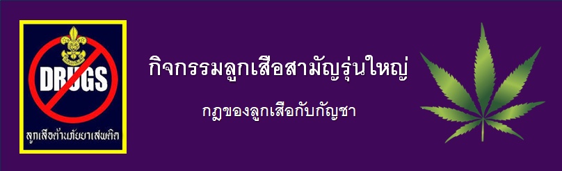 ภาพประกอบไอเดีย กิจกรรมลูกเสือสามัญรุ่นใหญ่ : กฎของลูกเสือกับกัญชา