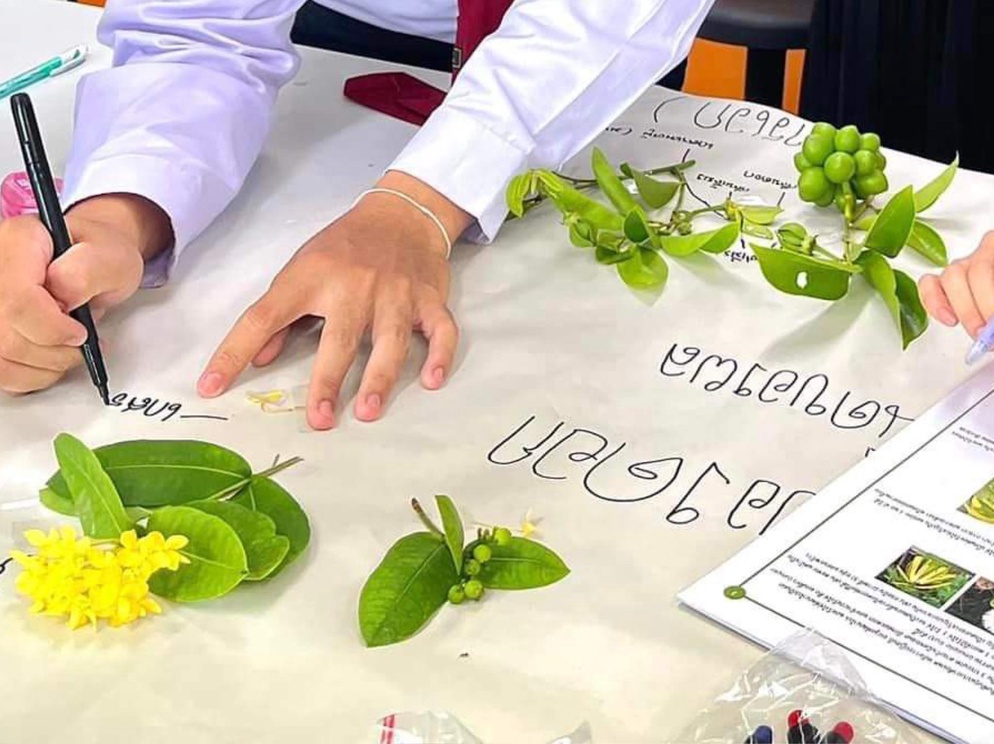 ภาพประกอบไอเดีย ไอเดียกระบวนการจัดการเรียนรู้ - โครงสร้างของดอกและชนิดของผล