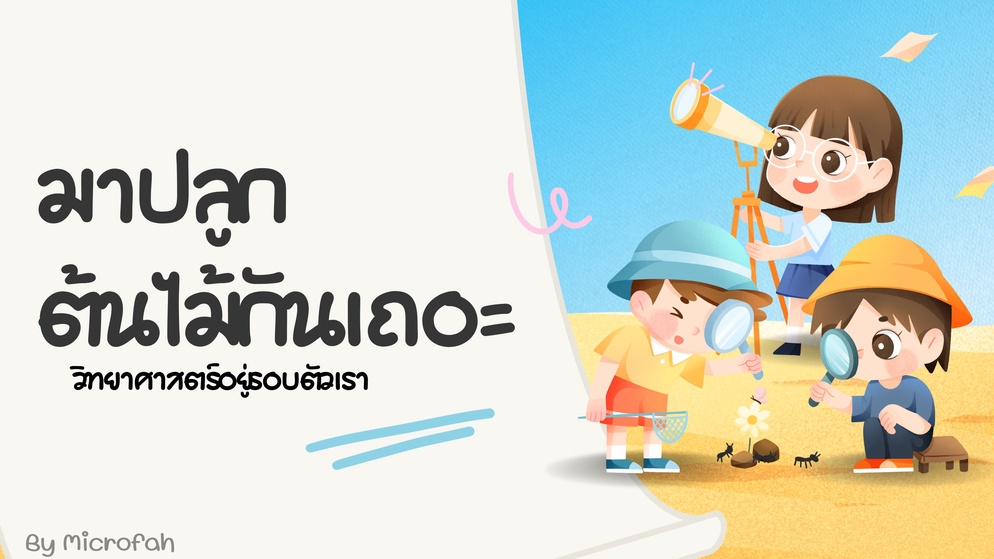 ภาพประกอบไอเดีย พืชต้องการอะไรในการเติบโตบ้างนะ ??