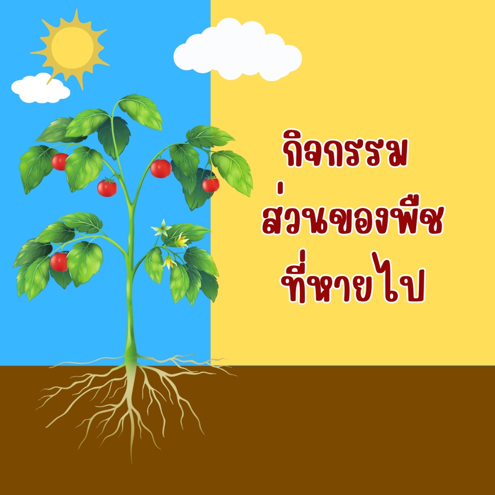 ภาพประกอบไอเดีย มารู้จักโครงสร้างพืชกับกิจกรรมส่วนของพืชที่หายไป 