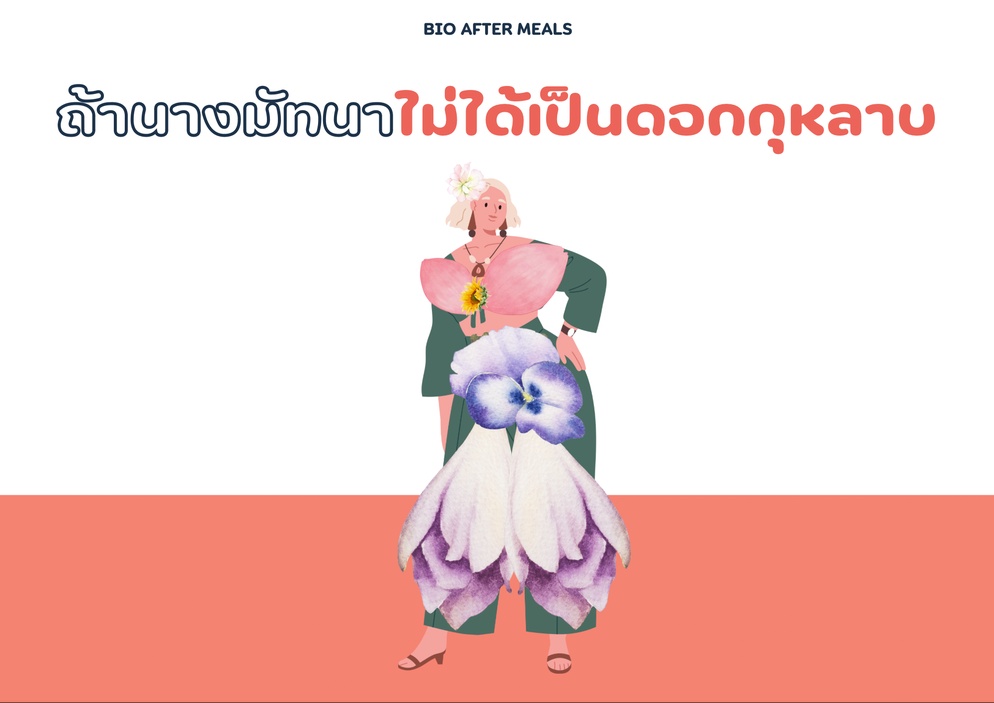 ภาพประกอบไอเดีย ถ้านางมัทนาไม่ได้เป็นดอกกุหลาบ