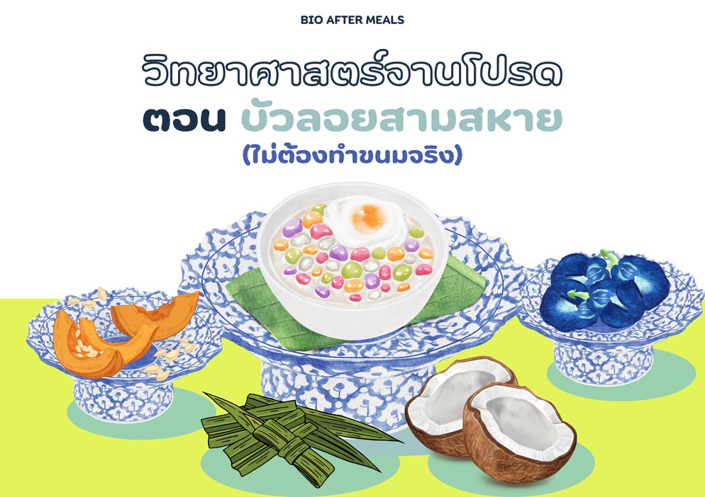 ภาพประกอบไอเดีย วิทยาศาสตร์จานโปรด ตอน บัวลอยสามสหาย (แบบไม่ต้องทำขนมจริง)