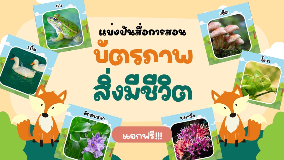 ภาพประกอบไอเดีย สื่อการสอน : บัตรภาพสิ่งมีชีวิต รายวิชาวิทยาศาสตร์