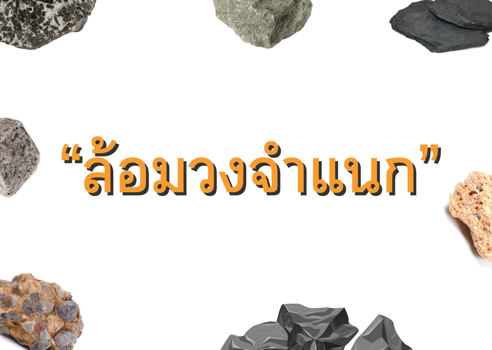 ภาพประกอบไอเดีย ล้อมวงจำแนก