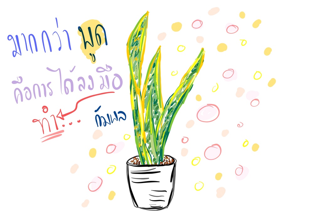 ภาพประกอบไอเดีย สุ่ม เขตภูมิอากาศและพืชพรรณธรรมชาติทวีปอเมริกาเหนือ ม.3