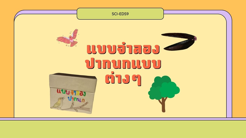 ภาพประกอบไอเดีย แบบจำลองปากนกแบบต่าง ๆ ที่เหมาะกับการกินอาหารต่างชนิดกัน