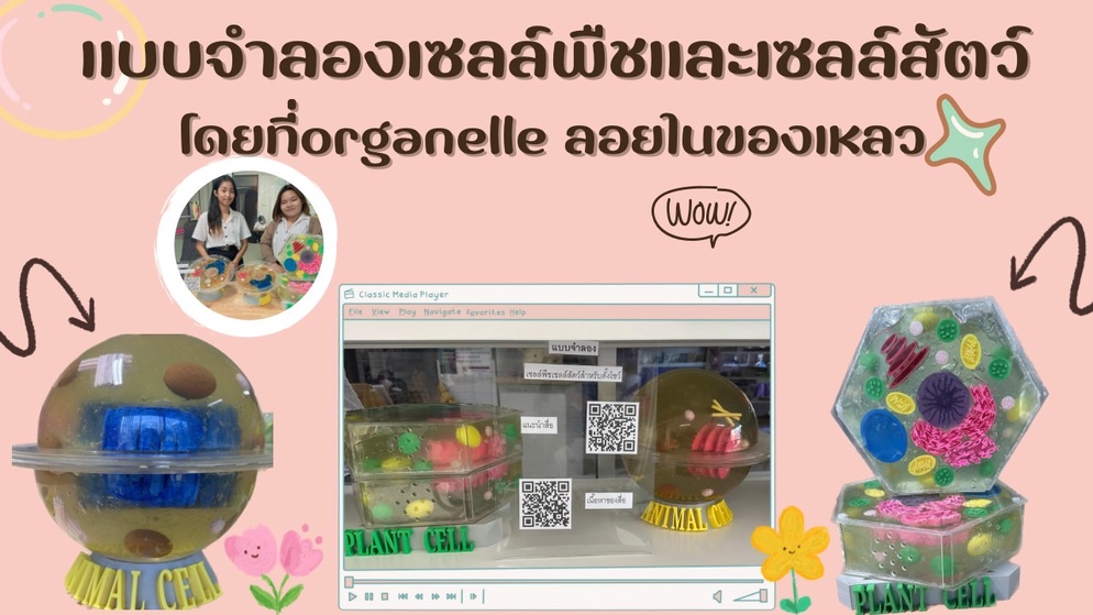 ภาพประกอบไอเดีย แบบจำลองเซลล์พืช เซลล์สัตว์ โดยที่ organelle ลอยในของเหลว