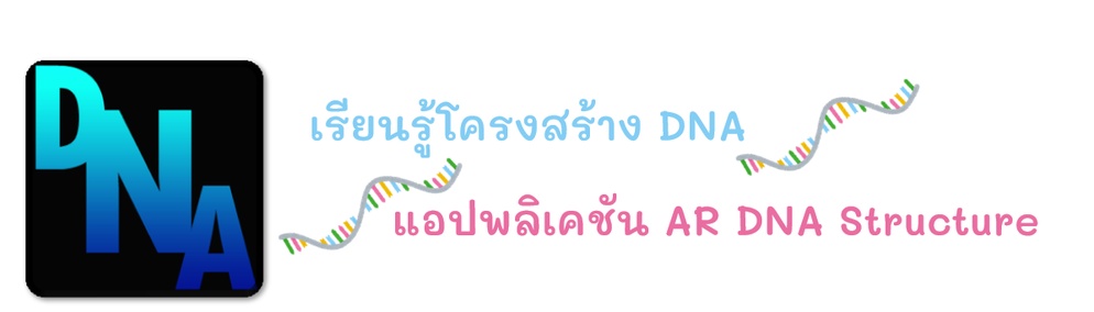 ภาพประกอบไอเดีย เรียนรูโครงสร้าง DNA อย่างง่ายกับ AR DNA structure