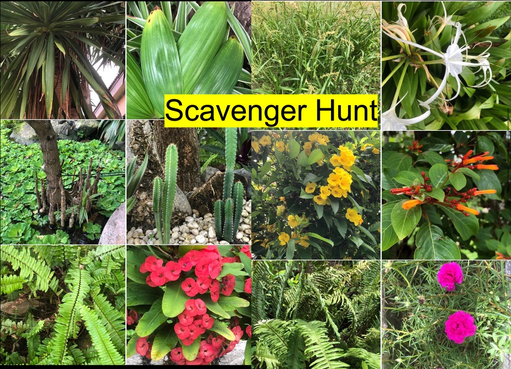 ภาพประกอบไอเดีย Scavenger  Hunt