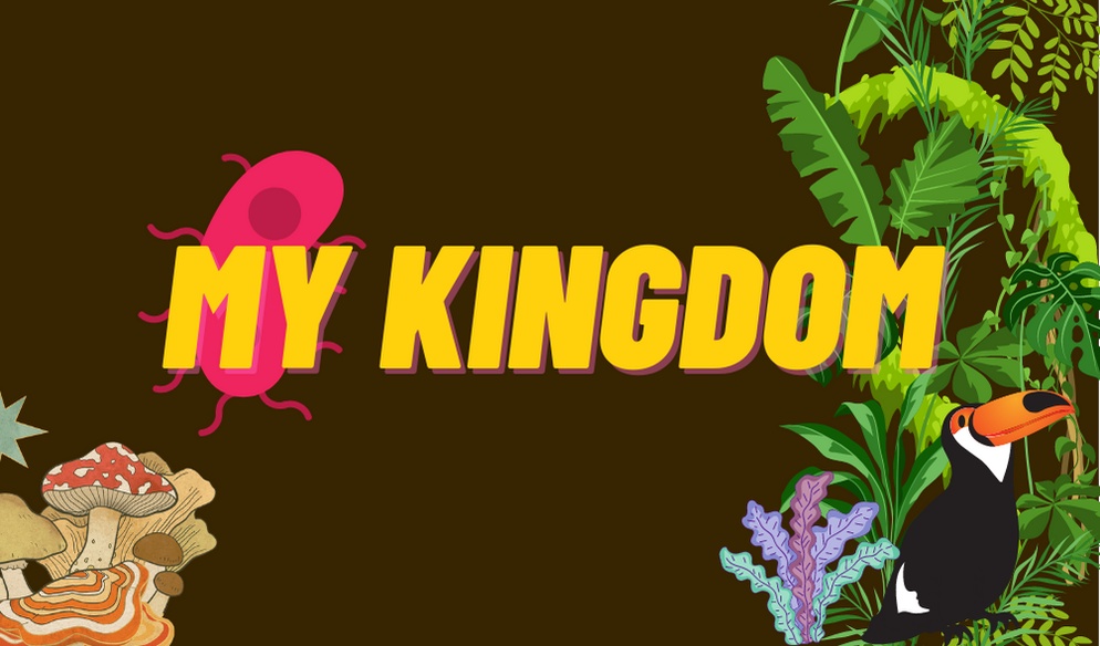 ภาพประกอบไอเดีย บอร์ดเกมอนุกรมวิธานของสัตว์ : My kingdom