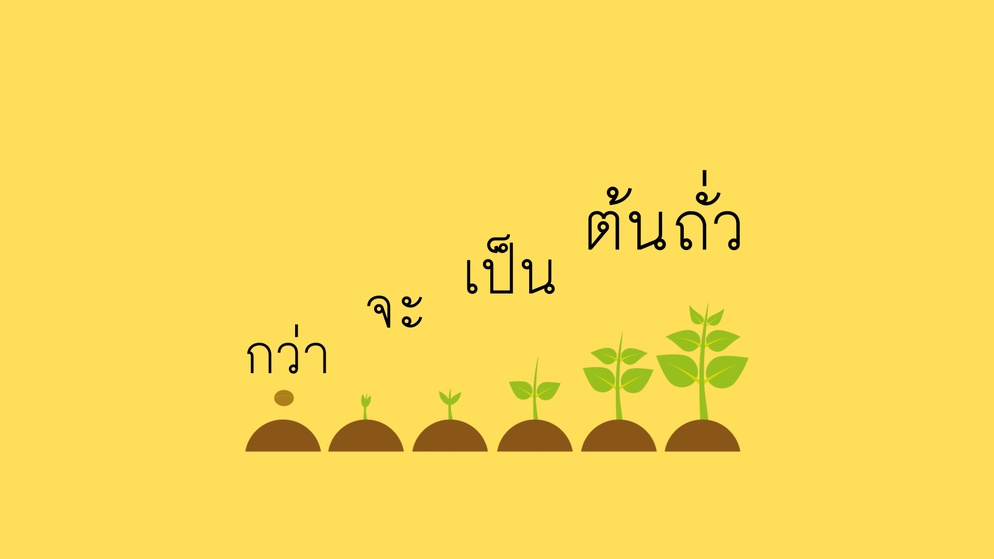 ภาพประกอบไอเดีย กว่าจะเป็นต้นถั่ว