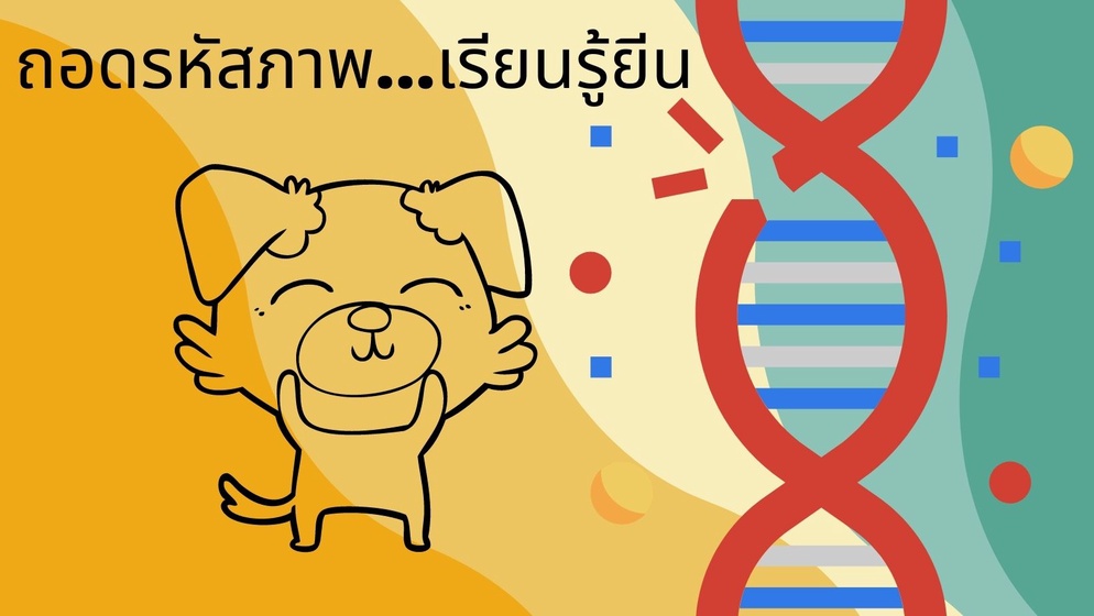 ภาพประกอบไอเดีย ถอดรหัสภาพเรียนรู้ยีน
