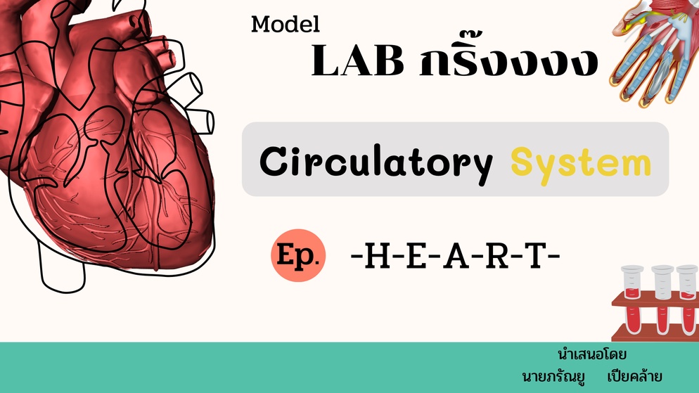 ภาพประกอบไอเดีย Card game (circulatory) + Lab กริ๊ง [Online]
