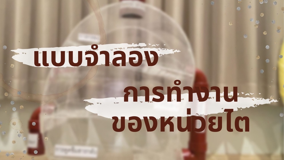 ภาพประกอบไอเดีย แบบจำลองการทำงานของหน่วยไต