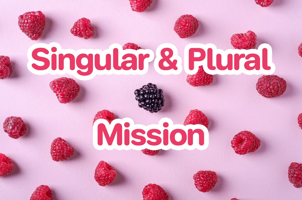 ภาพประกอบไอเดีย Singular & Plural Mission