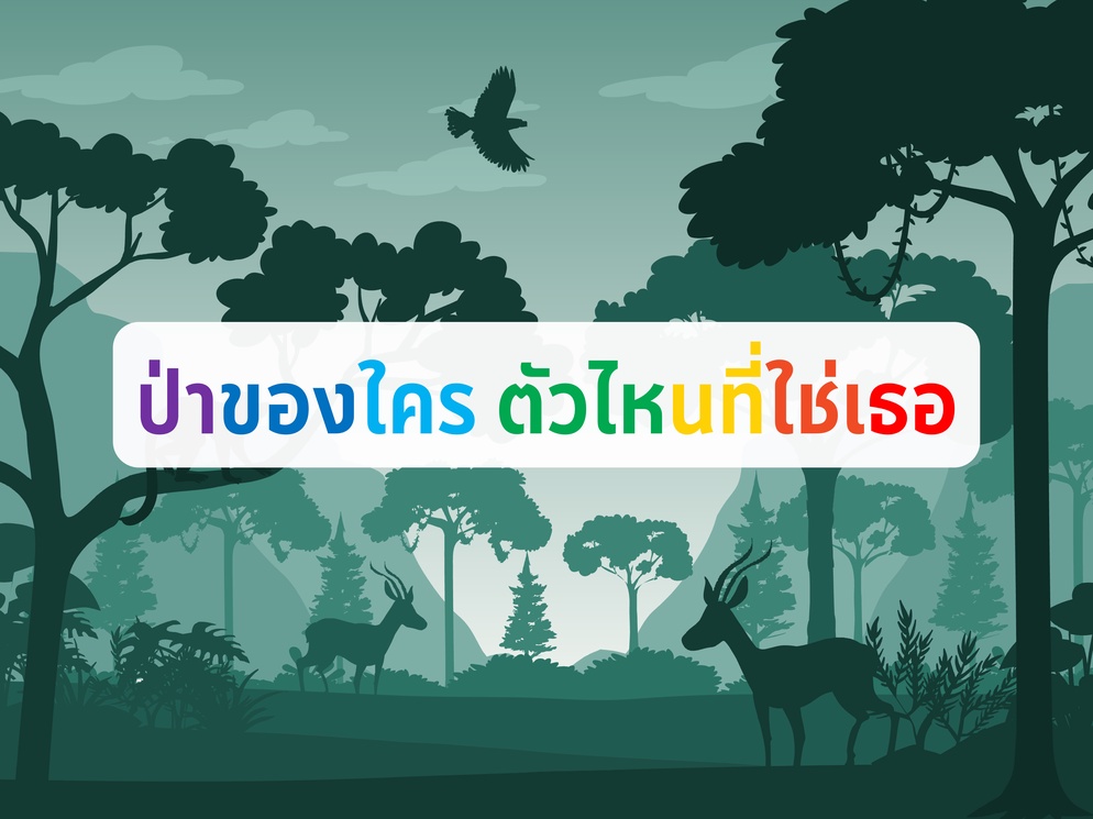 ภาพประกอบไอเดีย ป่าของใคร ตัวไหนที่ใช่เธอ