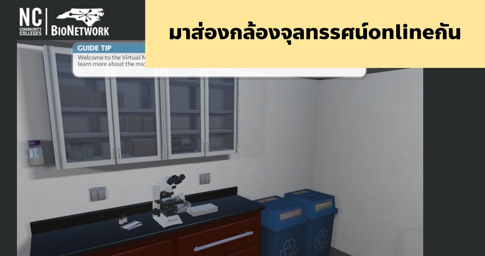 ภาพประกอบไอเดีย ออนไลน์ก็ใช้กล้องจุลทรรศน์ได้นะ