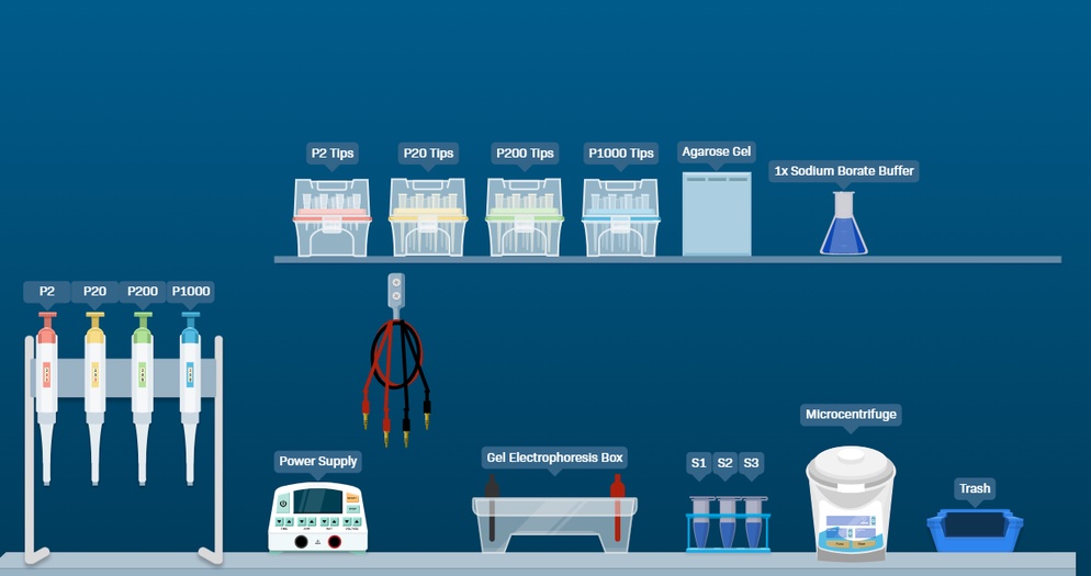 ภาพประกอบไอเดีย มาทำแลป (ทิพย์) กันเถอะ (Gel electrophoresis)