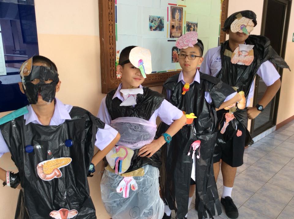 ภาพประกอบไอเดีย แฟชั่นโชว์ชุดต่อมไร้ท่อ