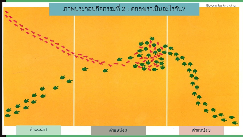 ภาพประกอบไอเดีย ชวนคิด : ธรรมชาติของวิทยาศาสตร์