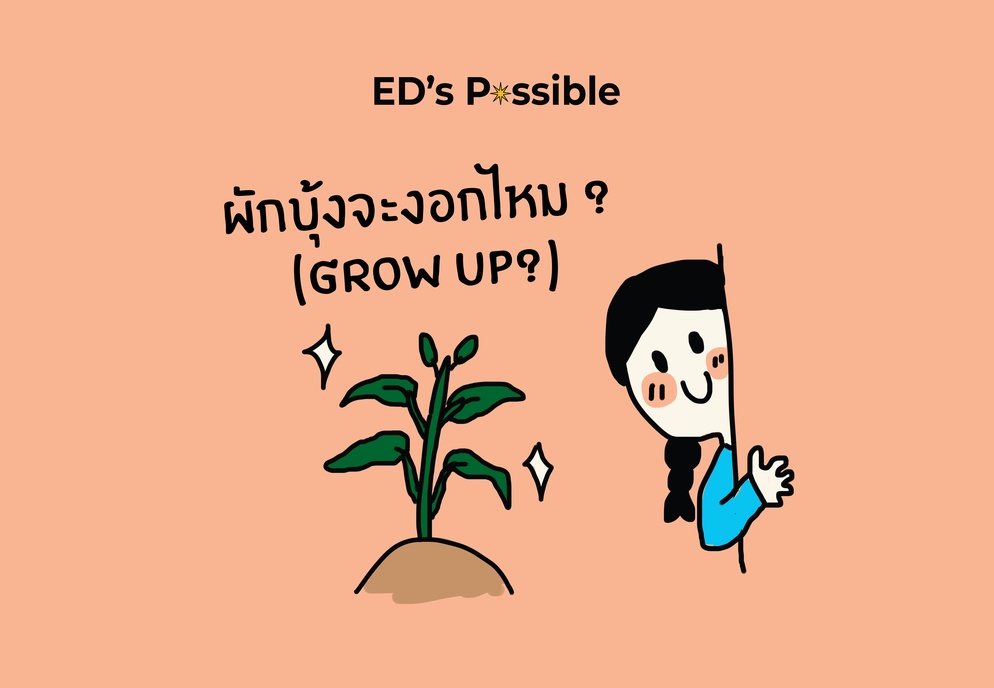 ภาพประกอบไอเดีย ผักบุ้งจะงอกไหม ? (Grow up?)