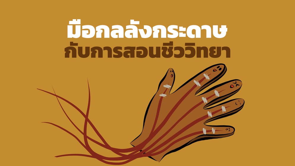 ภาพประกอบไอเดีย มือกลลังกระดาษ สอนวิทยาศาสตร์ด้วยการคิดวิศวกรรม