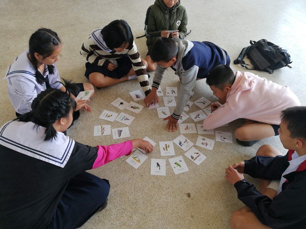 ภาพประกอบไอเดีย “หากฉันเป็นนก”