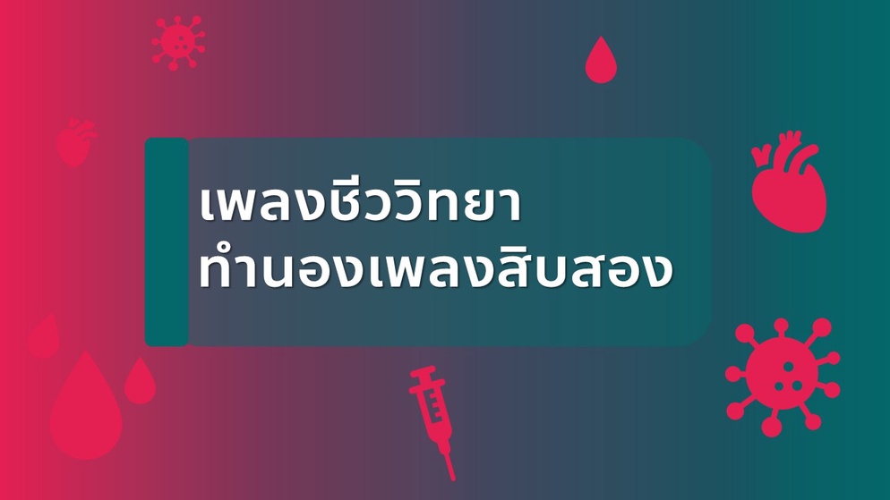 ภาพประกอบไอเดีย เพลงชีววิทยา ทำนองเพลงสิบสอง
