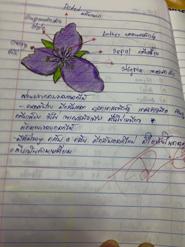 ภาพประกอบไอเดีย กิจกรรมฝึกทักษะการสังเกต...