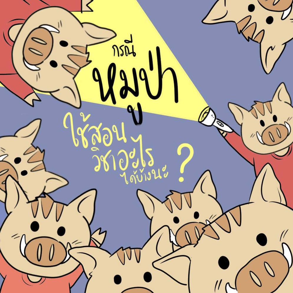 ภาพประกอบไอเดีย กรณีหมูป่า สอนวิชาอะไรได้บ้าง ?