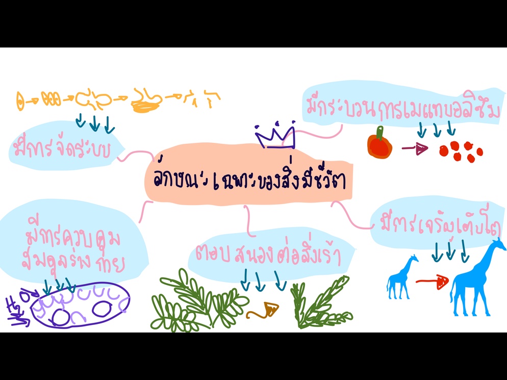ภาพประกอบไอเดีย ลักษณะสิ่งมีชีวิต
