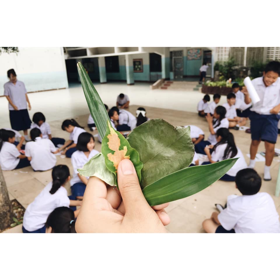ภาพประกอบไอเดีย พลังบวกจากใบไม้