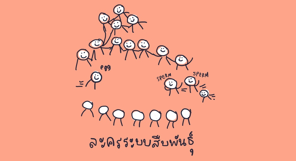 ภาพประกอบไอเดีย เกมระบบสืบพันธ์ุผ่าน Role Play