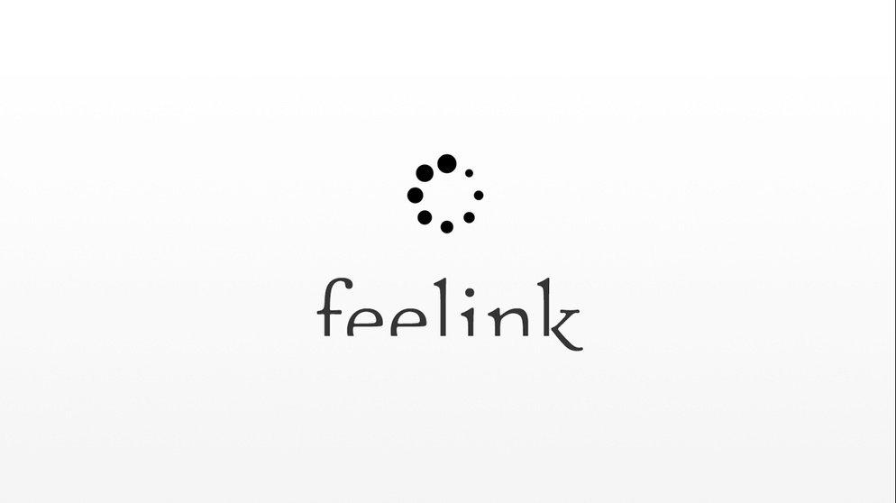 ภาพประกอบไอเดีย Fake News Feelink