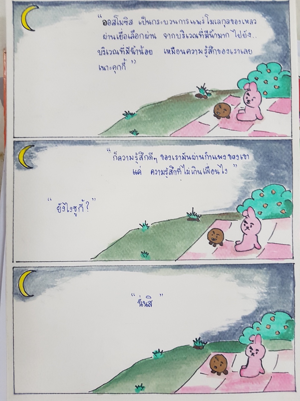 ภาพประกอบไอเดีย มุกวิทยาศาสตร์ 