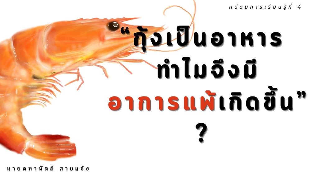 ภาพประกอบไอเดีย "แพ้ทั้งกุ้ง แพ้ทั้งเธอ 🥲 " (ภูมิแพ้กับภูมิคุ้มกัน)