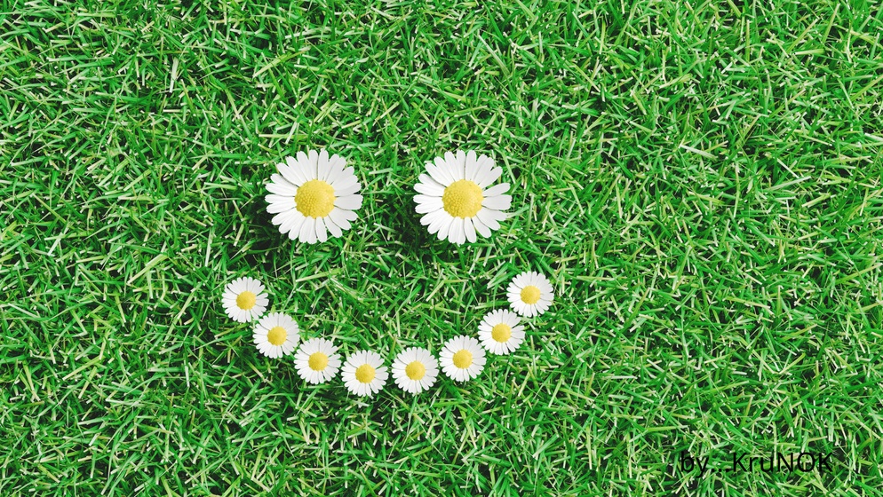 ภาพประกอบไอเดีย ทบทวนความรู้แบบ Make smile by us.