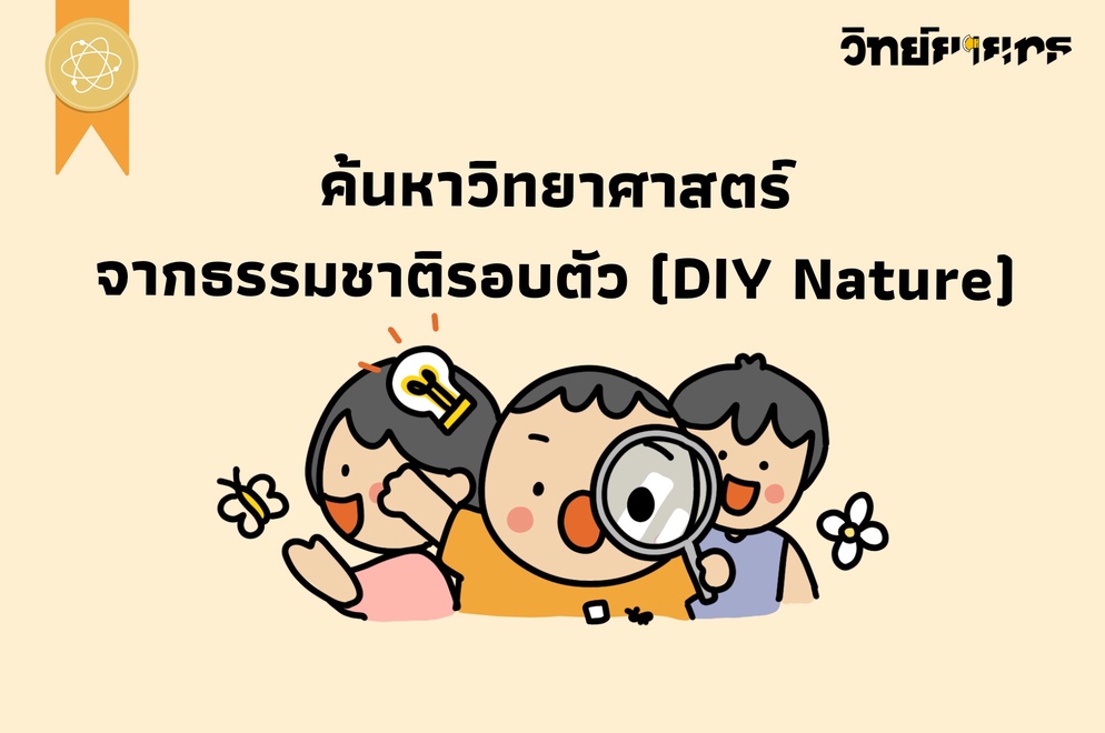 ภาพประกอบไอเดีย ค้นหาวิทยาศาสตร์ จากธรรมชาติรอบตัว (DIY Nature)