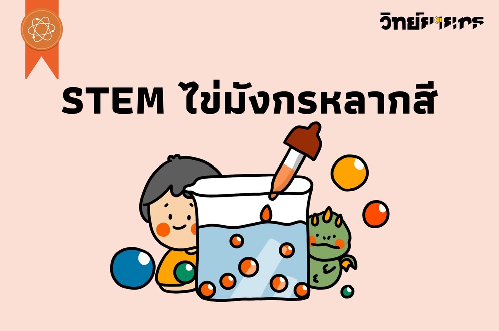 ภาพประกอบไอเดีย STEM ไข่มังกรหลากสี