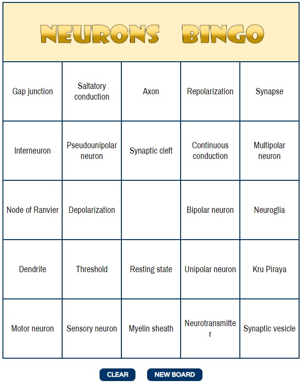 ภาพประกอบไอเดีย Neurons  Bingo