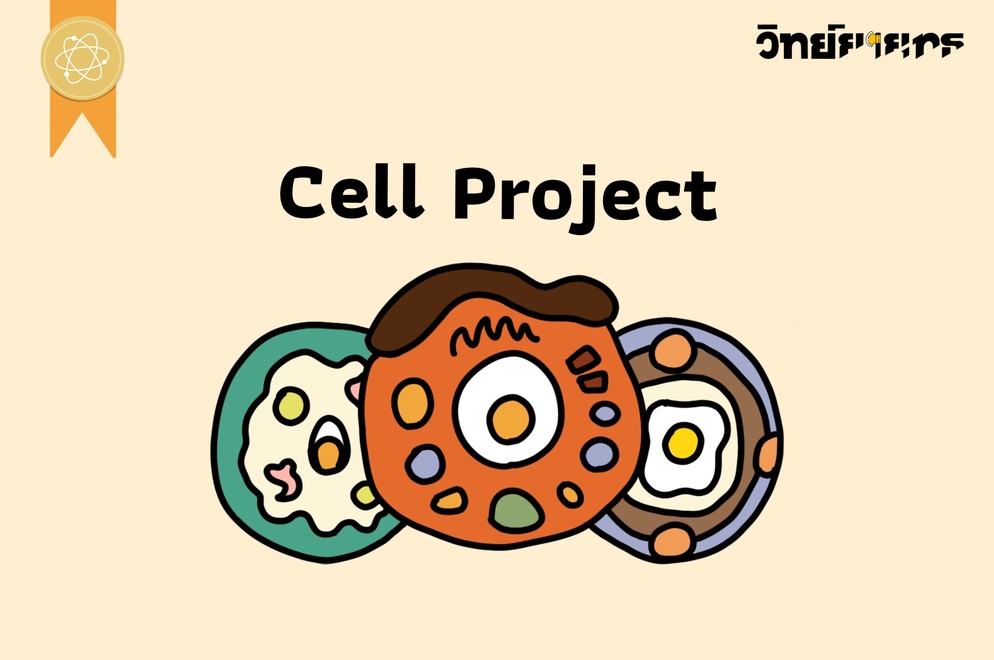 ภาพประกอบไอเดีย Cell Project