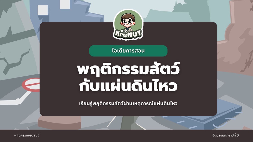 ภาพประกอบไอเดีย พฤติกรรมสัตว์กับแผ่นดินไหว ไอเดียจัดการเรียนรู้ในชั้นเรียน