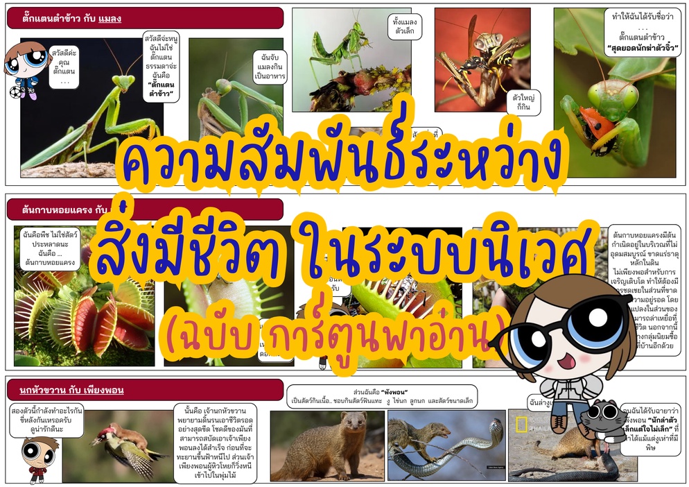 ภาพประกอบไอเดีย ความสัมพันธ์ระหว่างสิ่งมีชีวิตในระบบนิเวศ(ฉบับการ์ตูนพาอ่าน)