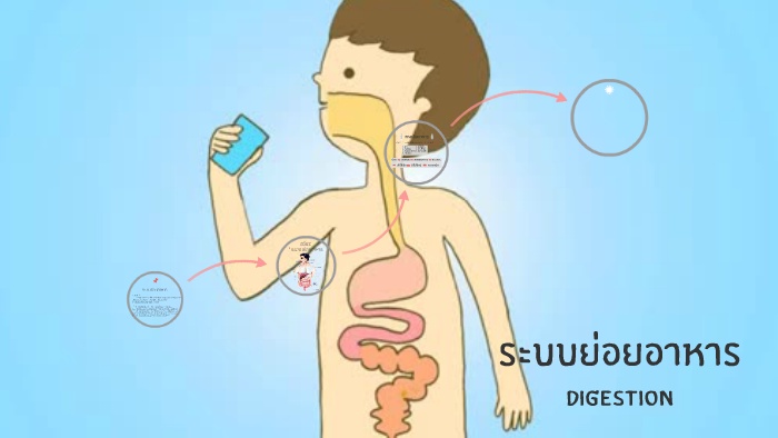 ภาพประกอบไอเดีย แผนการจัดการเรียนรู้ Active Learning ระบบย่อยอาหาร