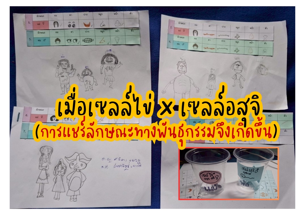 ภาพประกอบไอเดีย เซลล์ไข่ X เซลล์อสุจิ (การแชร์ลักษณะพันธุกรรมจึงเกิดขึ้น)