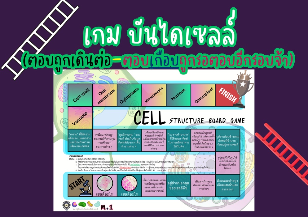 ภาพประกอบไอเดีย เกมบันไดเซลล์ (ตอบถูกเดินต่อ-ตอบเกือบถูกรอตอบอีกรอบจ้า)