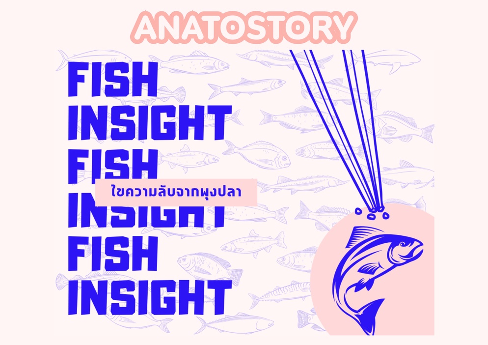 ภาพประกอบไอเดีย ANATOSTORY ep.2 - Fish insight ไขความลับจากพุงปลา