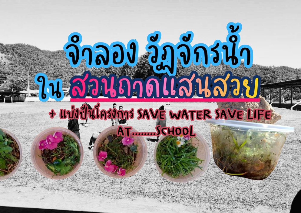 ภาพประกอบไอเดีย วัฏจักรน้ำในสวนถาดแสนสวย(แบ่งปันกิจกรรมSAVE WATER SAVE LIFE)