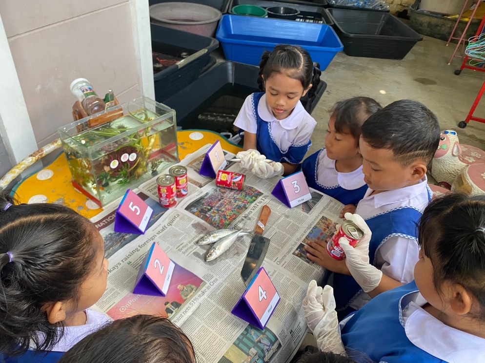 ภาพประกอบไอเดีย ป.ปลาตากลม